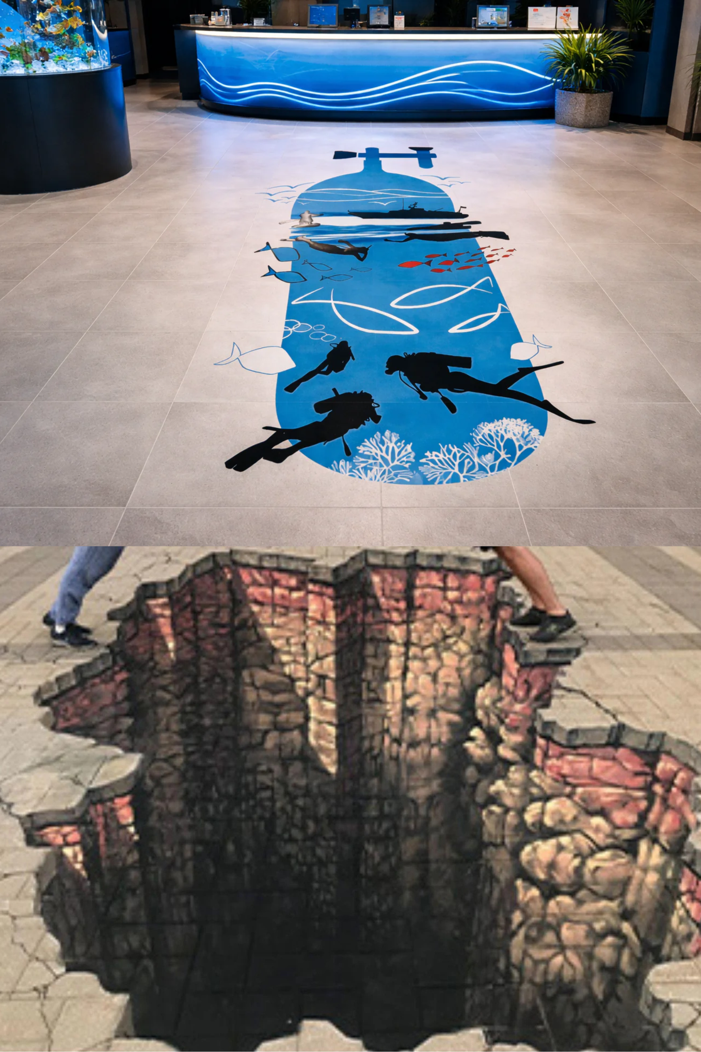 Eye-Catching and Immersive